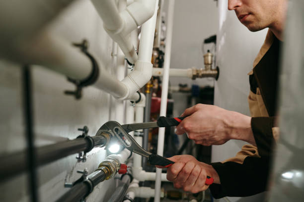 Best Clogged Drain Plumber  in Ladue, MO