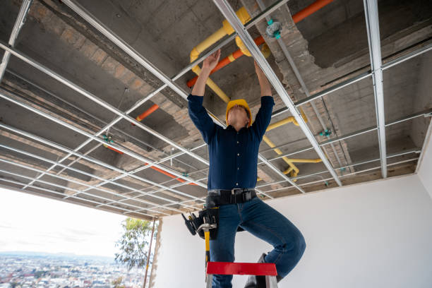 Best Best Plumbers Near Me  in Ladue, MO